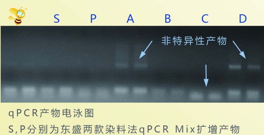 636dcb07d29bb