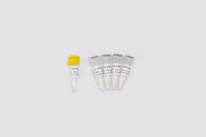高品质病毒核酸检测原料One-step Probe RT-qPCR Kit V2 V5009/V5010