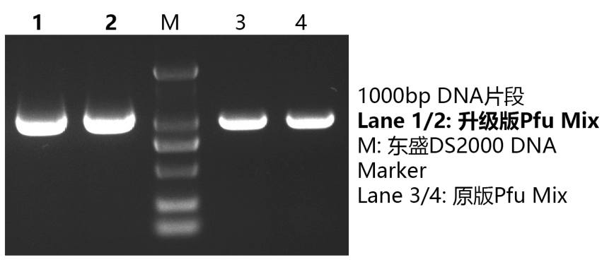 636db96219f45