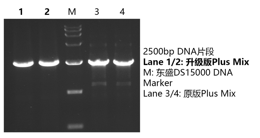 636db96aa51bf