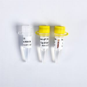 Power Green qPCR Mix