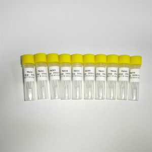 NGS转座酶建库扩增引物TN Primer Index List-A K211-A