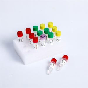 Universal Fast DNA Library Prep Kit #KU001-A #KU001-B