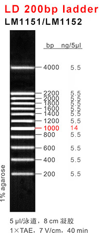 66aaf17c0e50f