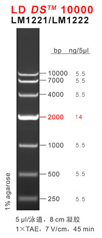 66aaf17dce267